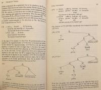 【英語 言語学洋書】 パラメーター構文、セム語とロマンス諸語の事例研究 『Parametric syntax, case studies in Semitic and Romance languages』