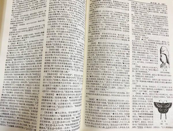 『漢語大詞典』 全12巻 ＋ 『附録・索引』 1巻 中文書 漢語大詞典 全14冊揃（本巻12巻・別巻[付録・索引]・多功能漢語