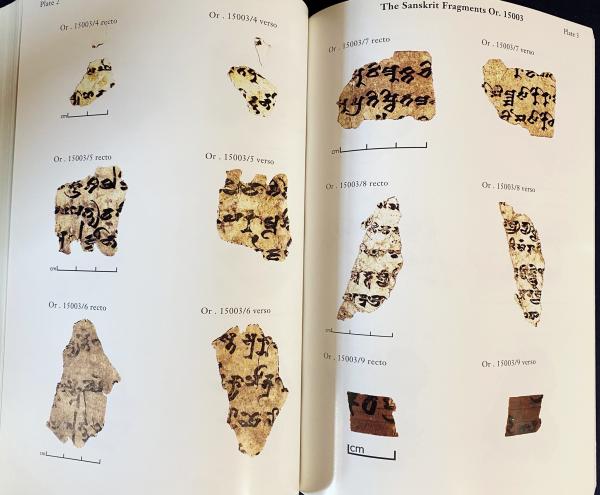 大英図書館所蔵サンスクリット断片：中央アジアの仏教写本 全3巻5冊揃