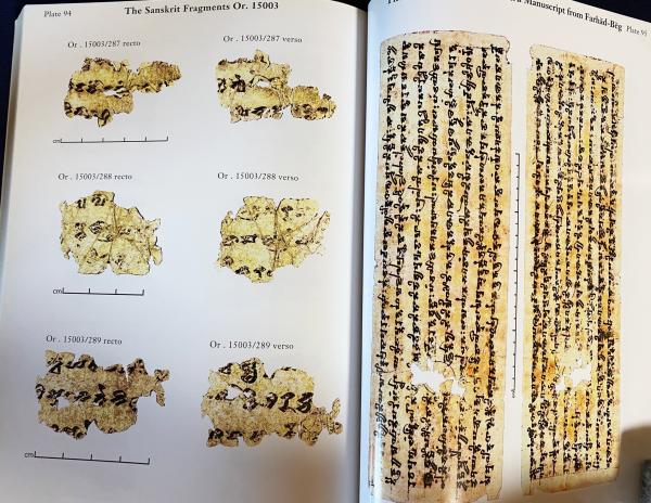 大英図書館所蔵サンスクリット断片：中央アジアの仏教写本 全3巻5冊揃