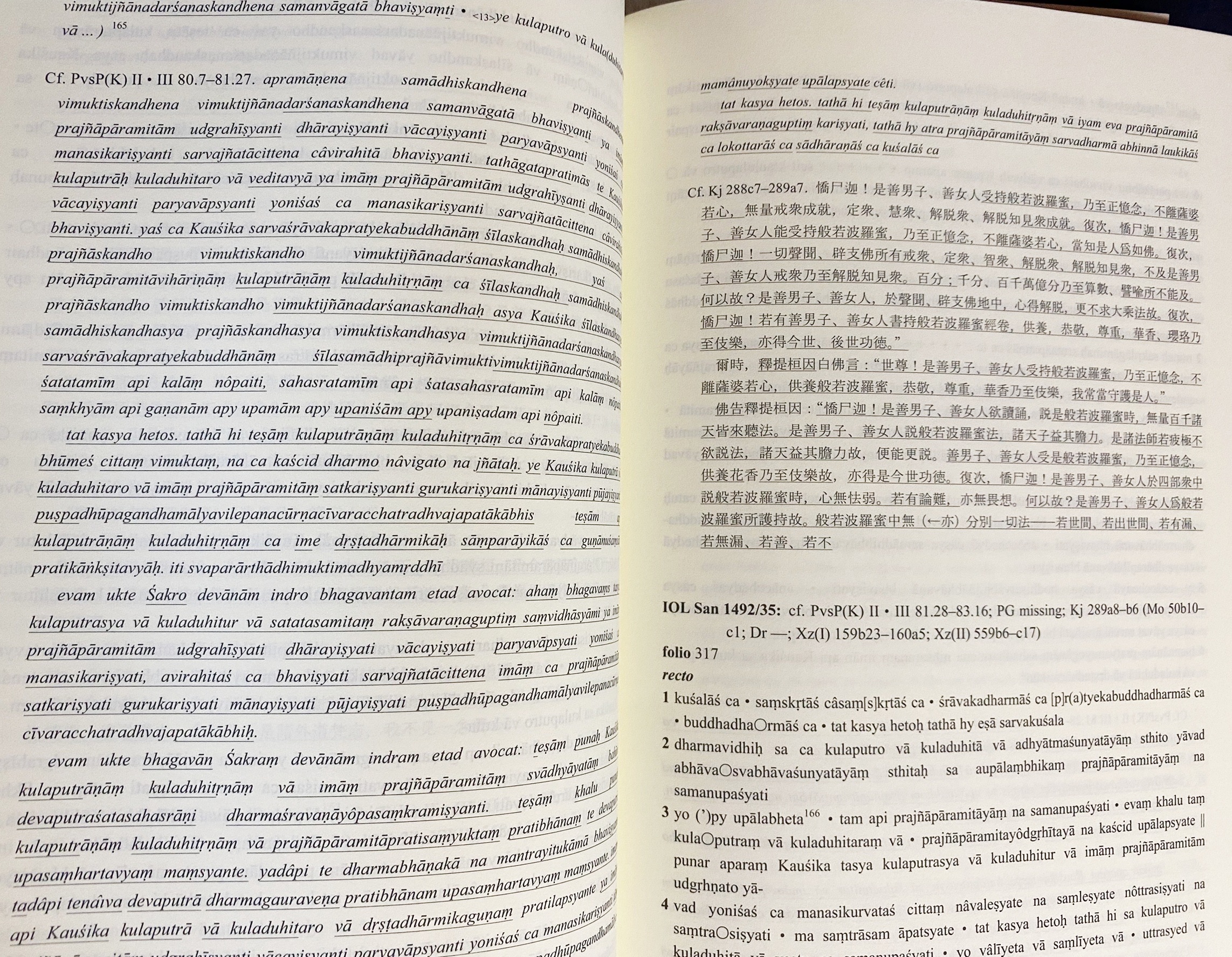 大英図書館所蔵サンスクリット断片：中央アジアの仏教写本 全3巻5冊揃