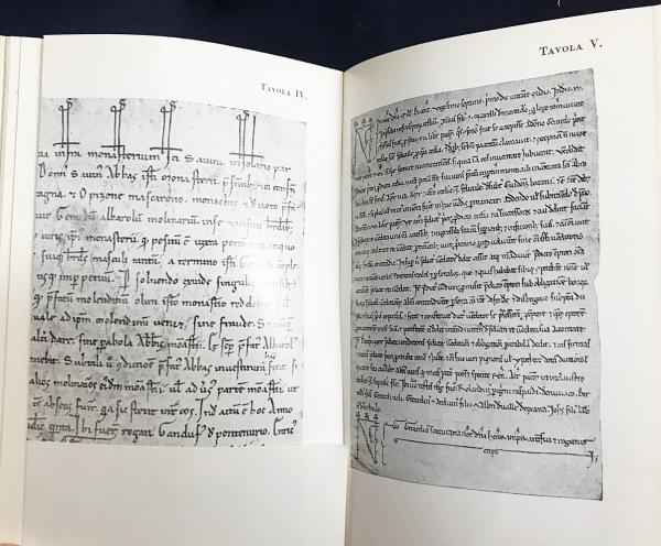 DIB DIZIONARIO DI BASE イタリア語辞典 DIB DIZIONARIO DI BASE イタリア語辞典