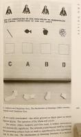 【英語洋書】 ノッツ：デリダ・荒川修作・マドンナ・免疫学 『Nots』