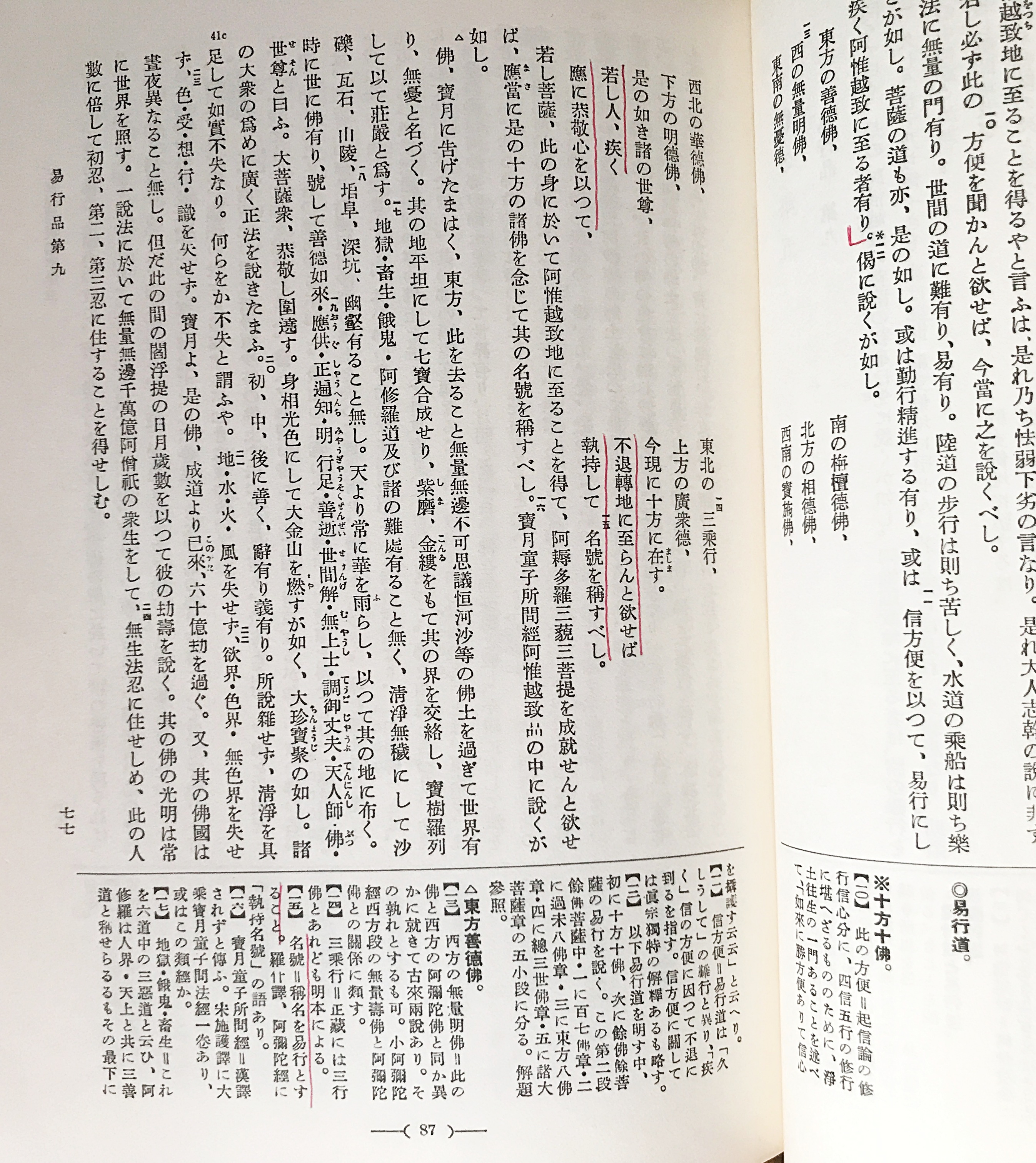 国訳一切経 印度撰述部 釈経論部 第7巻【十住毘婆沙論】(矢吹慶輝 譯