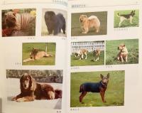【中文書】 食用犬の生産ガイド 『肉犬生产大全 (养殖热点大全系列)』 (肉犬生産大全)  ●犬食文化