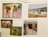 【中文書】 食用犬の生産ガイド 『肉犬生产大全 (养殖热点大全系列)』 (肉犬生産大全)  ●犬食文化