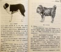 【中文書】 食用犬飼育技術マニュアル 『肉用犬养殖技术手册 (农技员丛书)』 (肉用犬養殖技術手冊)  ●犬食文化