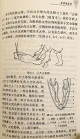 【中文書】 食用犬飼育技術マニュアル 『肉用犬养殖技术手册 (农技员丛书)』 (肉用犬養殖技術手冊)  ●犬食文化