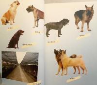 【中文書】 食用犬養殖の工業化 新技術 『工厂化肉犬饲养新技术』 (工廠化肉犬飼養新技術)  ●犬食文化