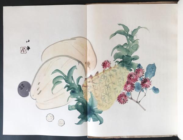 ⭕️華山石硯　希少　大森丁斉　破天荒な作硯者　風字様硯　シャープ　縦に石紋あり ⭕️華山石硯 希少 大森丁斉 破天荒な作硯者 風字様