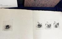 【銅版画全9枚・オブジェ付属】中林忠良 オリジナル銅版画集 『POSITION/半睡の夏』