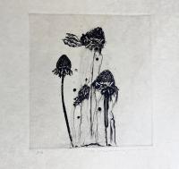 中林忠良銅版画集 １９６１-１９９２/阿部出版/中林忠良（大型本） 中林忠良銅版画集 特装限定150部(中原忠良) / 有限会社古書舗