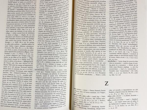 洋書 中世ラテン語辞典 全2冊揃 (羅仏英独辞書)【Mediae Latinitatis