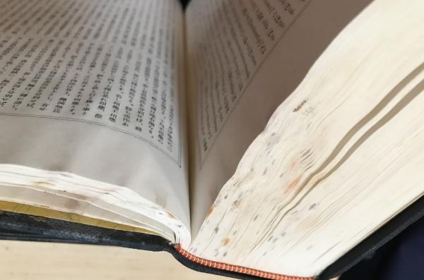 望月仏教大辞典 増訂版 全10巻揃(望月信亨=著 ; 塚本善隆=増訂
