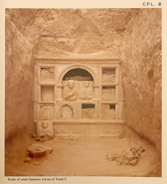 英語洋書】 シリアの古代都市 パルミラ南東部の墓地遺跡 AとC 