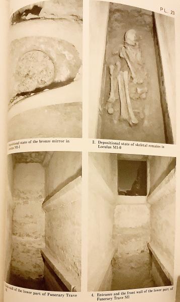 英語洋書】 シリアの古代都市 パルミラ南東部の墓地遺跡 AとC 