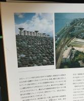 ひとものこころ : 天理大学附属天理参考館蔵品 第2期 第3巻 (縄文・弥生・古墳)