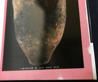 ひとものこころ : 天理大学附属天理参考館蔵品 第2期 第3巻 (縄文・弥生・古墳)