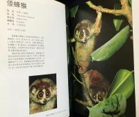 中文書 中国珍貴瀕危動物