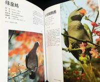 中文書 中国珍貴瀕危動物
