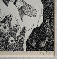日和崎尊夫 肉筆ペン画『クマノミ』(朝日新聞「新動物誌」挿絵原画）