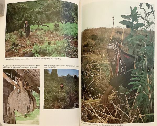 Peoples of the Golden Triangle 古書／洋書