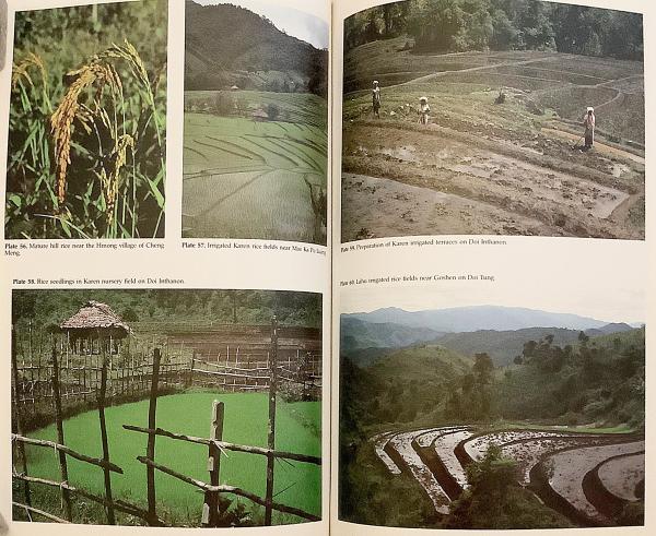 英語洋書】 タイのゴールデン・トライアングル (黄金の三角地帯) の