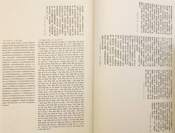 Amazon.co.jp: 無量寿経 : 漢訳五本梵本蔵訳対照 大田利生=編