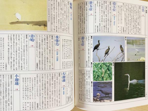 カラー図説 日本大歳時記 全5冊揃 (春・夏・秋・冬・新年)(水原