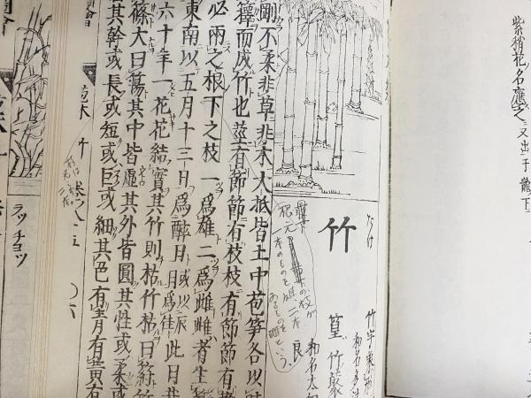 倭漢三才図会 全16巻揃(寺島良安=著) / 古本、中古本、古書籍の通販は