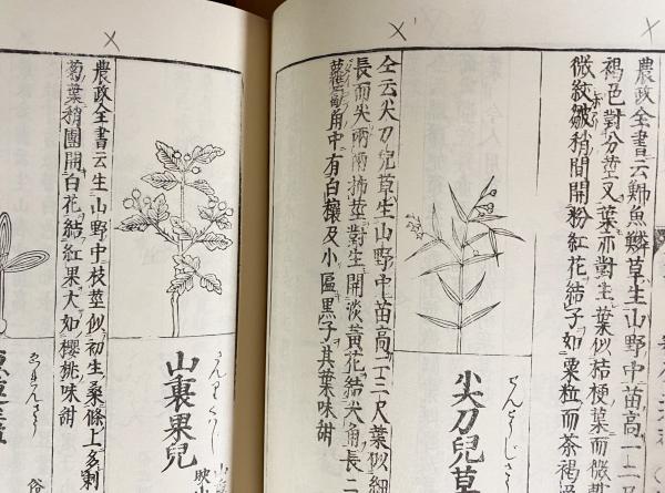 倭漢三才図会 全16巻揃(寺島良安=著) / 古本、中古本、古書籍の通販は