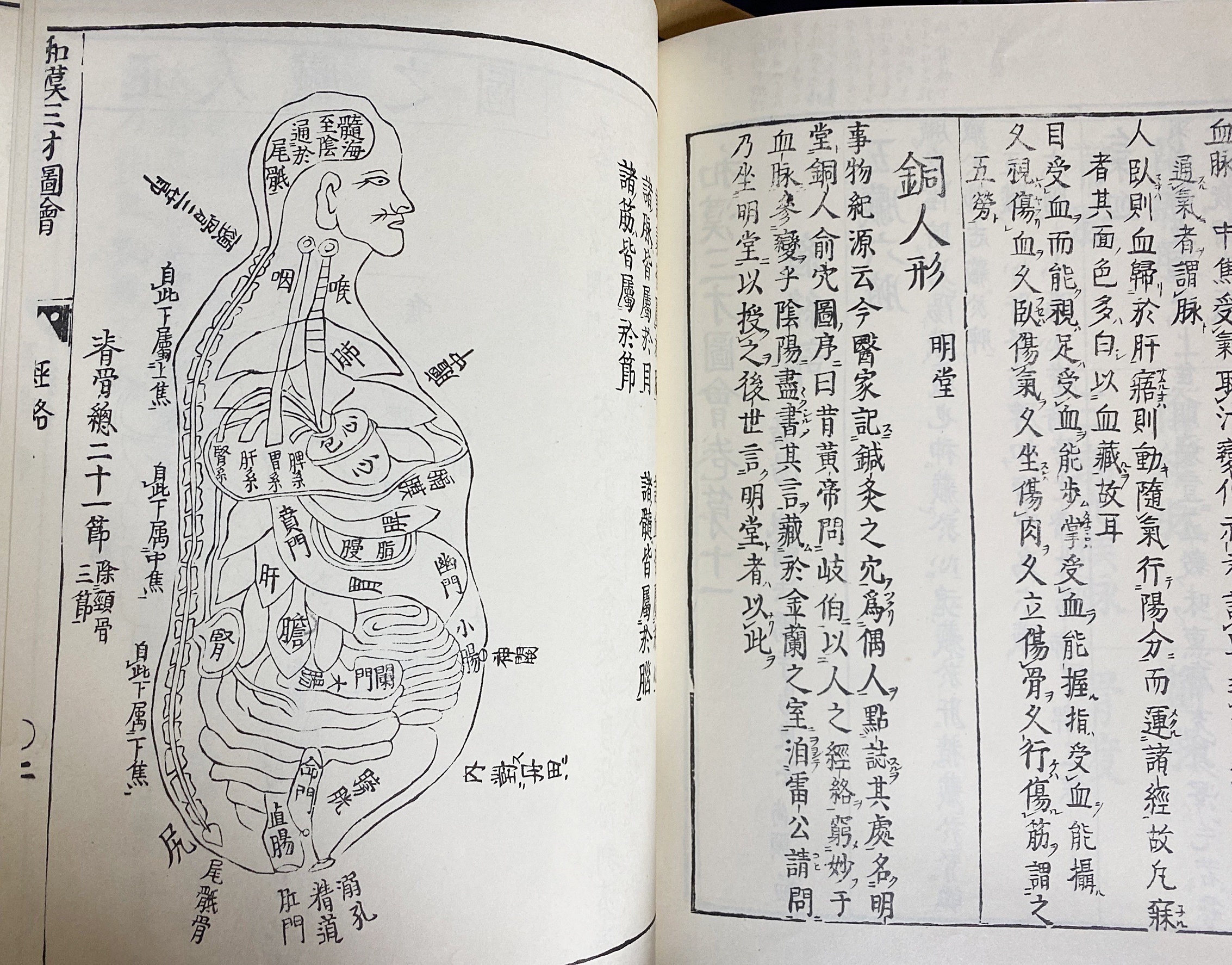 倭漢三才図会 全16巻揃(寺島良安=著) / 古本、中古本、古書籍の通販は