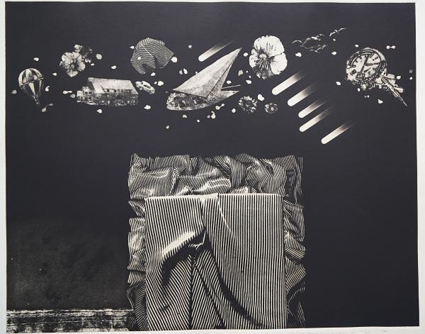 中林忠良 大判銅版画『夜の碑』限定40部(中林忠良) / 古本、中古