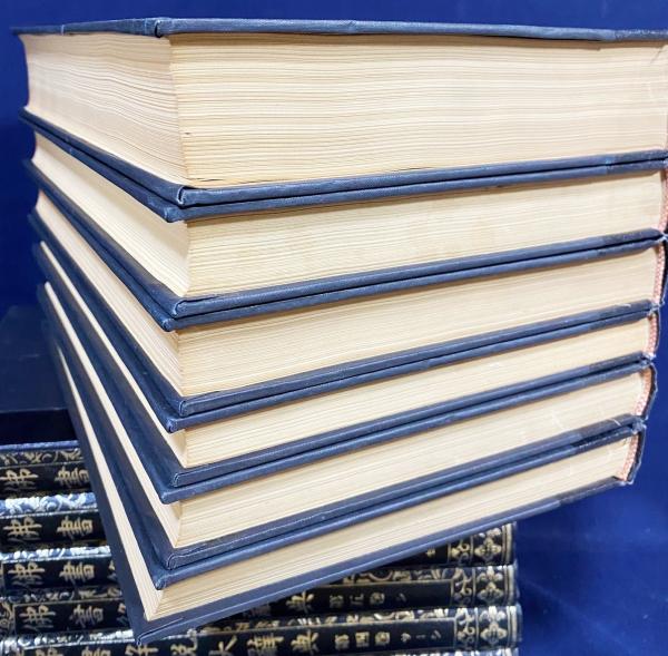 仏書解説大辞典 全14冊揃（全13巻・別巻[仏典総論]）(小野玄妙 編
