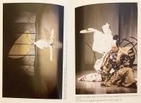 【英語洋書】 シェイクスピアと歌舞伎における女装と女形の伝統 『Transvestism and the onnagata traditions in Shakespeare and Kabuki』