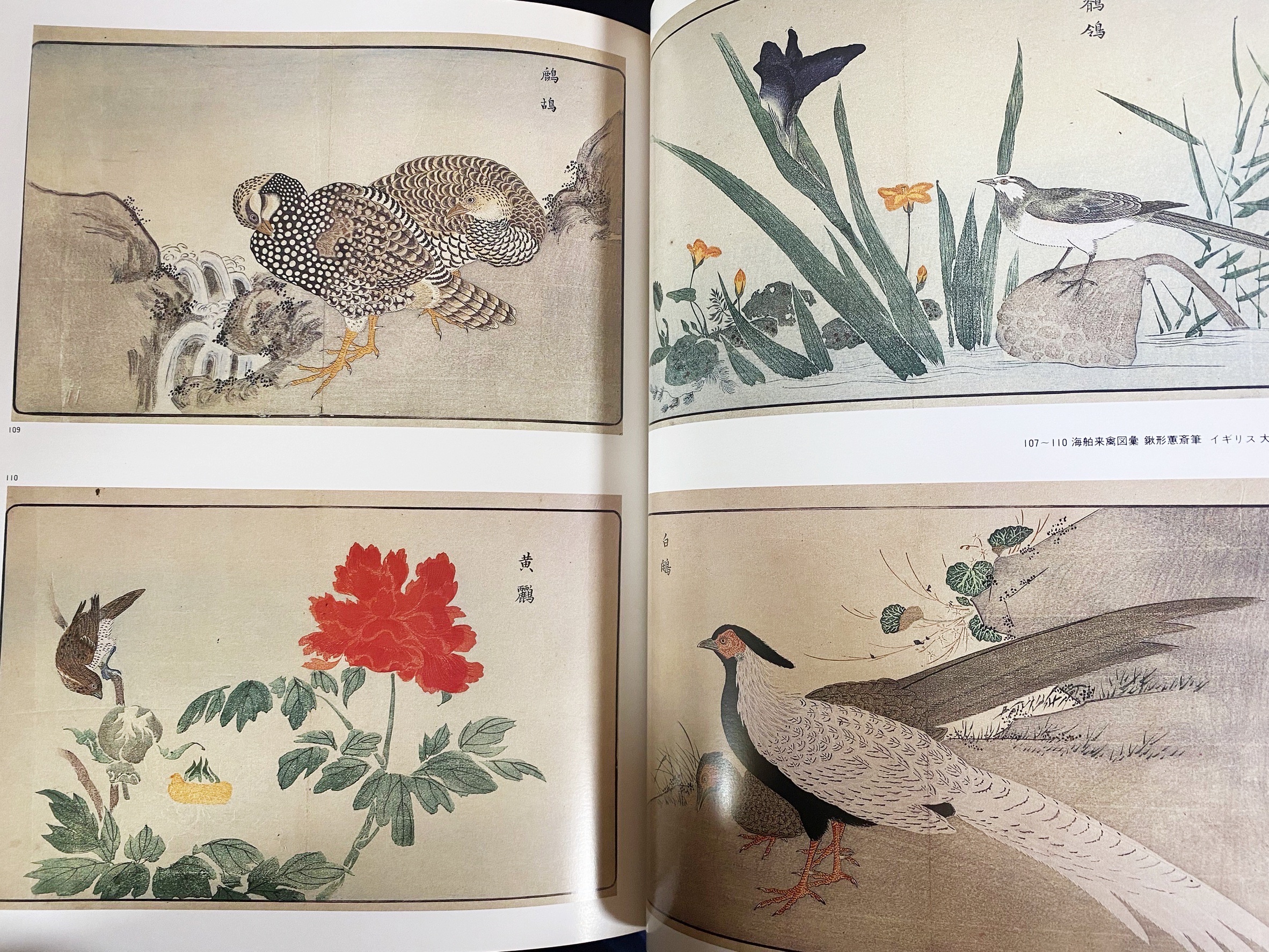 花鳥画の世界 10冊 (全11巻の内、第10巻欠)(小林忠, 村重寧