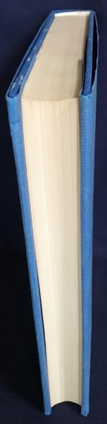 独文 大方広仏華厳経【Das Kegon Sutra】(Torakazu Doi(土井虎賀 独文 大方広仏華厳経【Das Kegon Sutra】(Torakazu Doi(土井虎賀