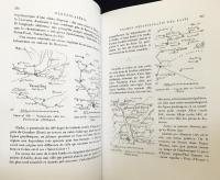 フランス語洋書　エレウシス・アレシア：ヨーロッパ文明の起源の調査【Eleusis Alesia : enquête sur les origines de la civilisation européenne】