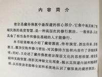中文書 虹化之光：蔵伝仏教密宗奇観【蔵伝仏教文化現象叢書】