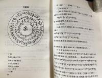 中文書 虹化之光：蔵伝仏教密宗奇観【蔵伝仏教文化現象叢書】