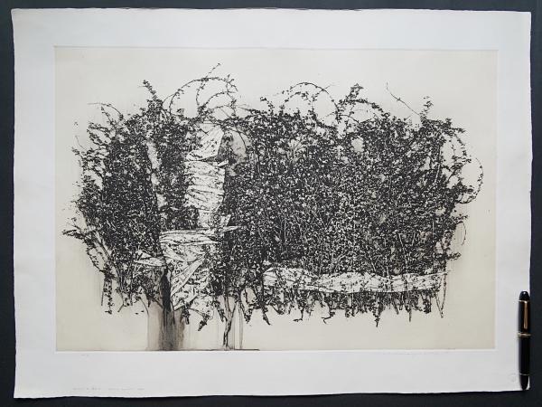 中林忠良 Position'97 腐蝕 Ⅰ 作品 銅版