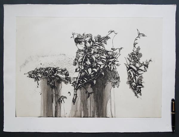 中林忠良 大判銅版画 Position '80 腐食シリーズ 全6枚揃 限定50部(中