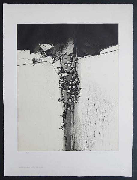 中林忠良 Position'97 腐蝕 Ⅰ