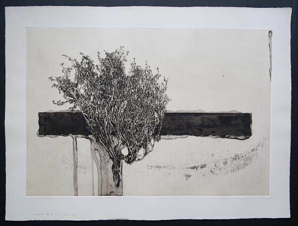 中林忠良 大判銅版画 Position '80 腐食シリーズ 全6枚揃 限定50部(中