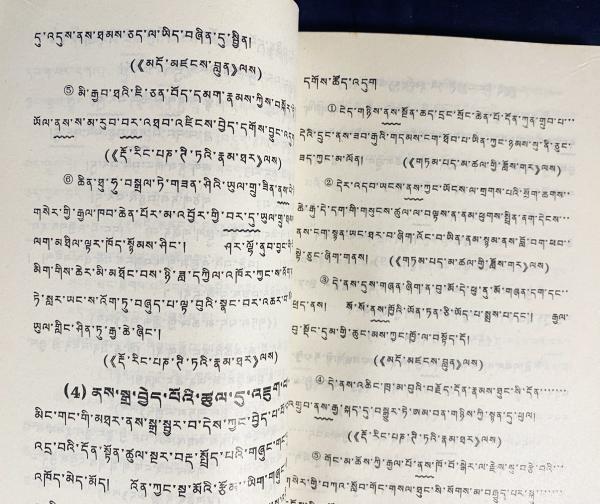 蔵文文法教程【チベット語文法】(格桑居冕=著) / 古本、中古本、古書籍