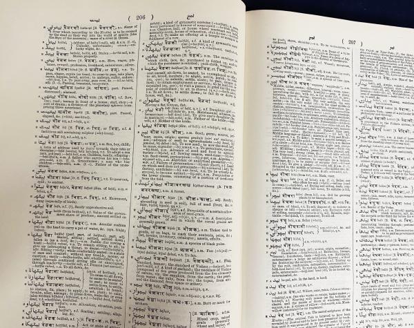 ウルドゥー語→英語辞書/Urdu into English Dictionary 洋書 ウルドゥー語-古典ヒンディー語-英語辞典【A Dictionary of Urdu