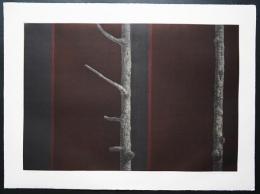 浜西勝則 メゾチント 大判銅版画『Crevice-Work No.5』限定50部