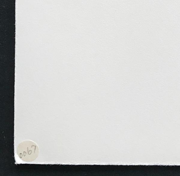 浜西勝則 メゾチント 大判銅版画『Division-Work No.22』限定50部(浜西 浜西勝則 メゾチント 大判銅版画『Division-Work No.22』限定50部(浜西