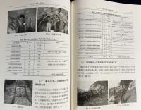 中文書 龍門石窟保護工程実録