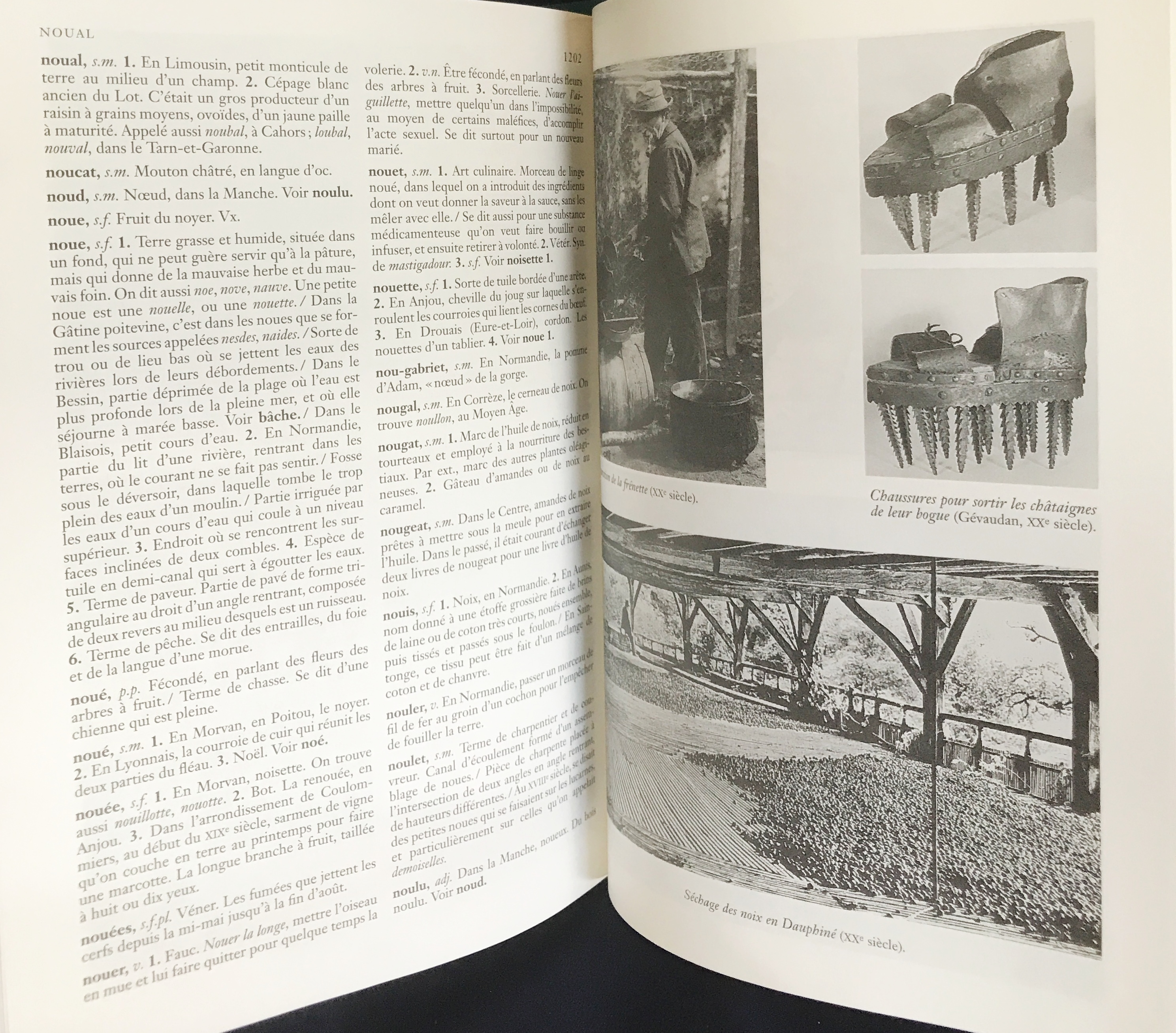 フランス語洋書 田舎の辞典：昔の言葉【Dictionnaire du monde